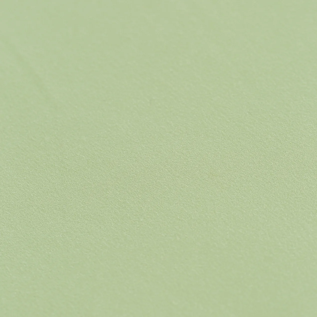 Lamour+Light+Olive+whitedoor-